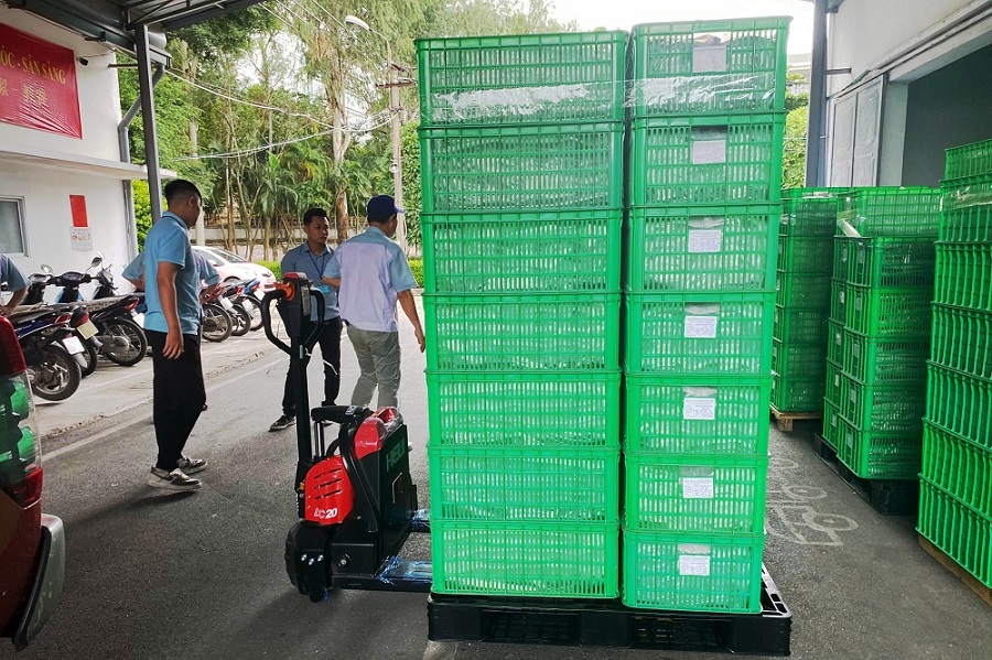 Xe-Nang-Tay-Dien-HELI-2-Tan-CBD20J-Li-S